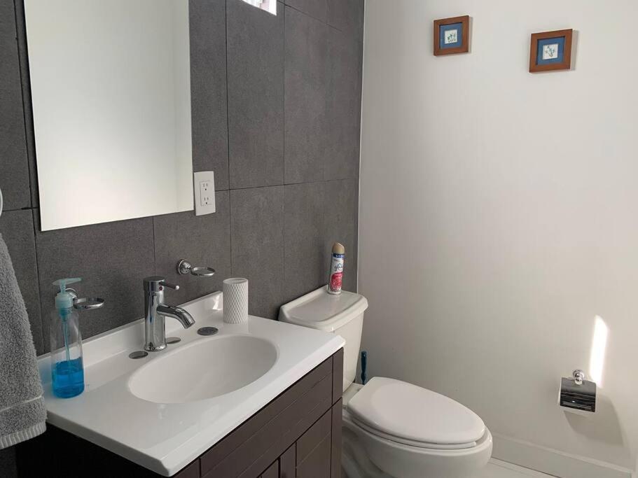 Departamento Completo Y Equipado Con 2 Habitaciones Леон Экстерьер фото